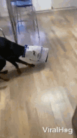 image000000_08.gif