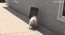 image000000_07.gif